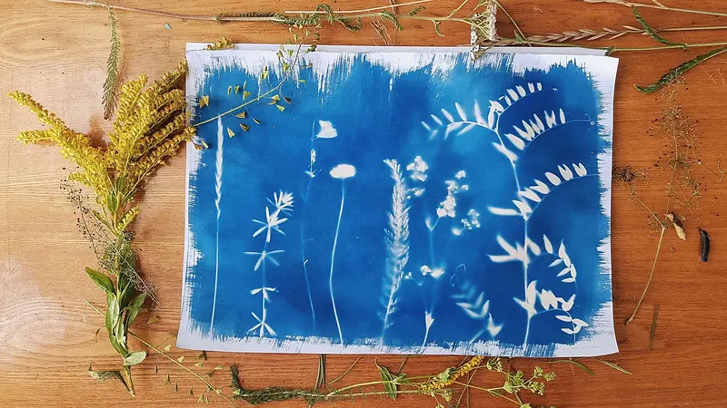 Cyanotype Prints