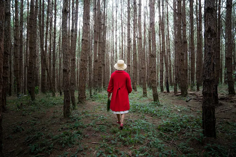 Letterbox Red Coats