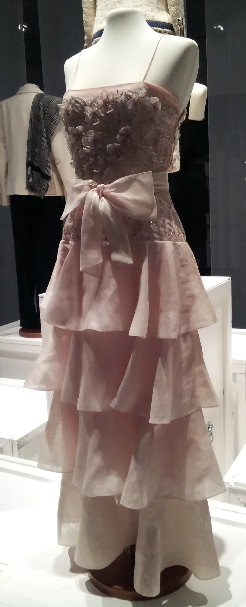 Organza (1 von 1)