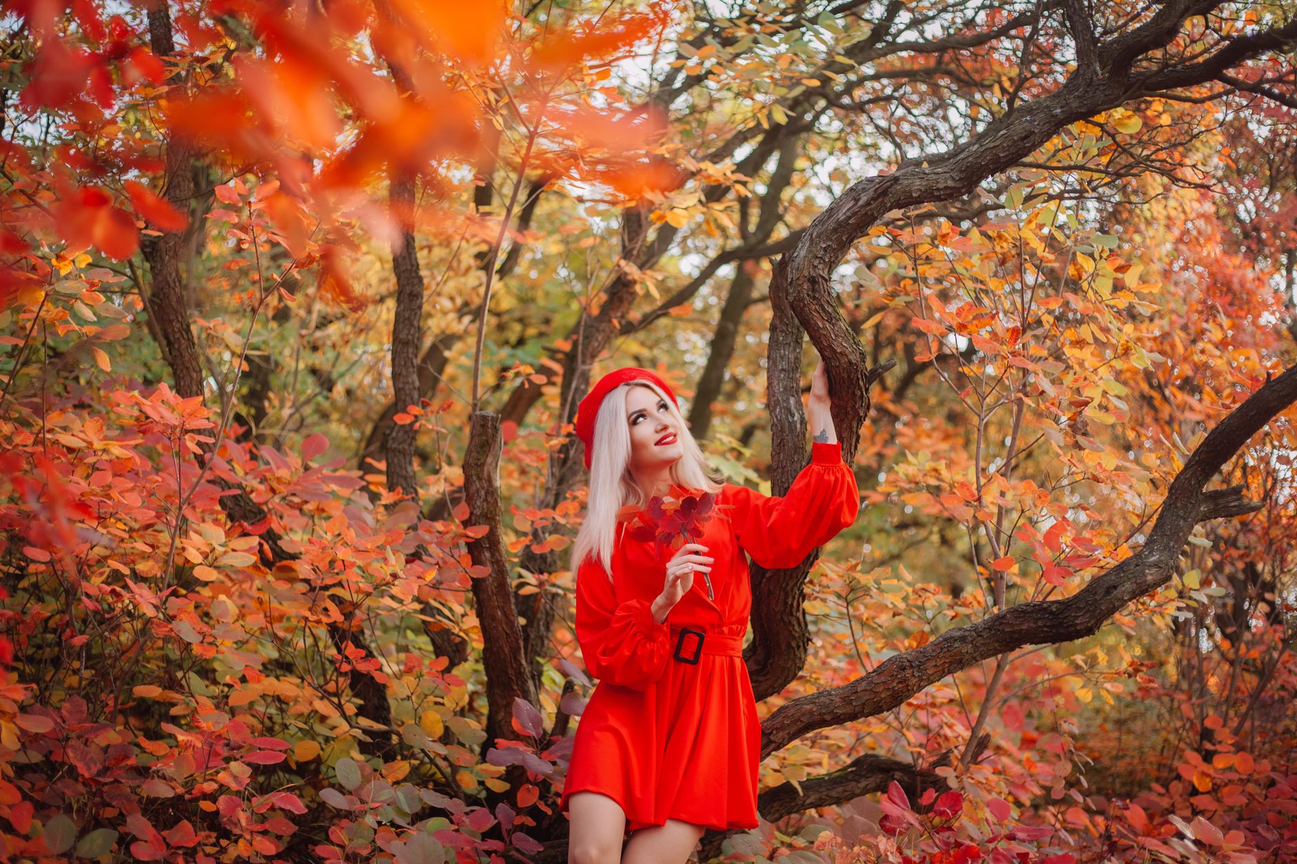 Tomato Red